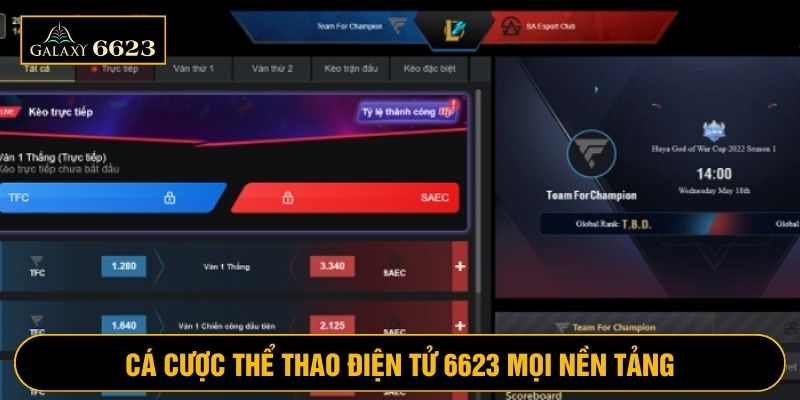 Esport 6623 có thể đặt cược qua nhiều nền tảng và thiết bị