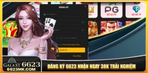 đăng ký 6623