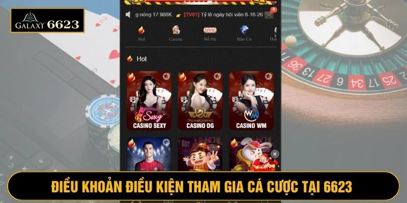 Người chơi tuân thủ điều khoản và điều kiện tham gia cá cược tại nền tảng 6623