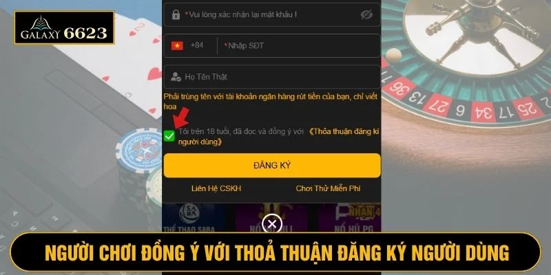 Tích vào ô vuông dưới cùng để đồng ý với điều khoản đăng ký 6623